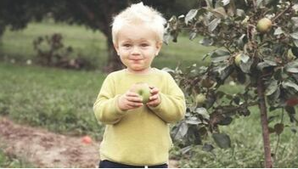 Un niño prueba una manzana recién cogida de un manzano en la propiedad de sus padres en Sherbrooke.